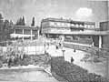 Pati del col.legi