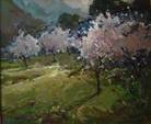 DSC00236_APp