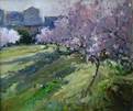 DSC00237_APp