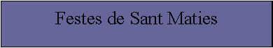 Cuadro de texto: Festes de Sant Maties