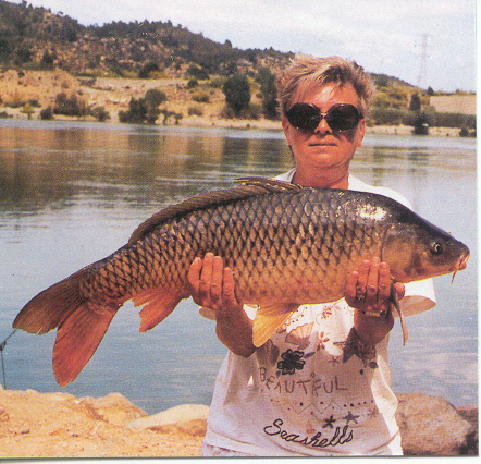 foto 10  Carpa 