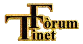 Logo Forum Tinet