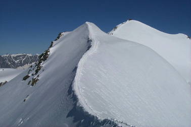 Felikhorn i Castor