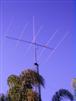Frank's antenna