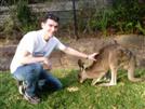 Lovely wallabee, it's so cute isn't it?