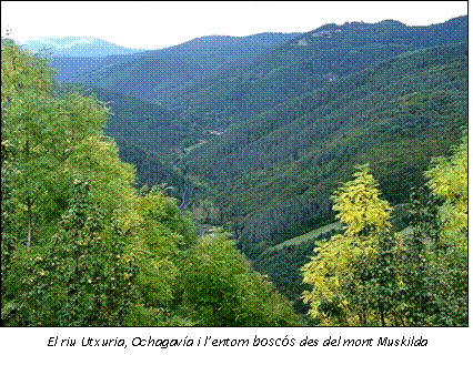 Vista des de la Muskilda