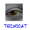 www.tecnocat.com