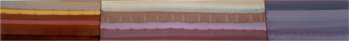 fragment