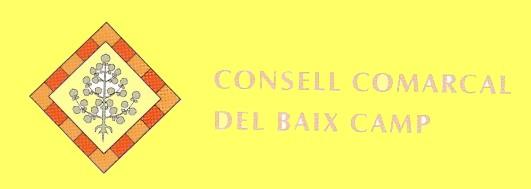 Consell Comarcal del Baix Camp