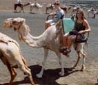 Vacances 2001 - Viatge a Canaries