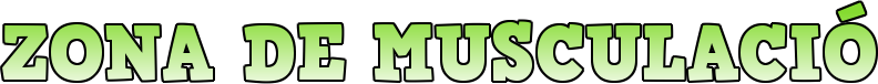 zonamuscul