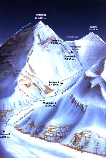 RUTA