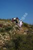Brafim09_491