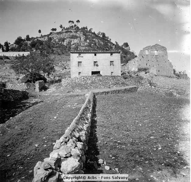 524-04.jpg