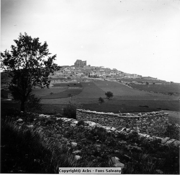 702-11.jpg