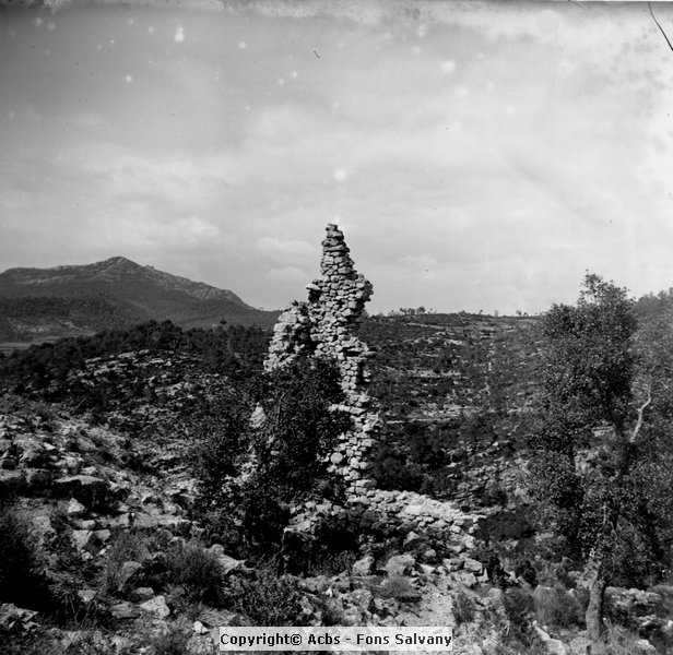703-08.jpg
