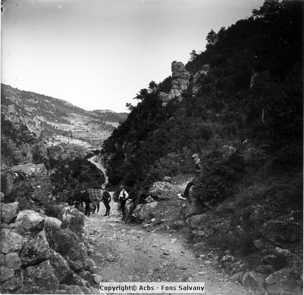 703-10.jpg