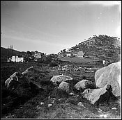 524-05.jpg