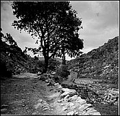 703-07.jpg