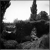 715-06.jpg