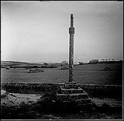 716-03.jpg