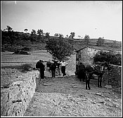 717-12.jpg