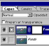 Selecci�n de la m�scara de capa