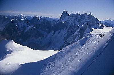 Gavia2