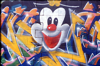 Gavia2