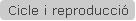 Cicle i reproducci�