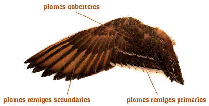 wpe32.jpg (11608 bytes)