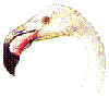 wpe45.jpg (1991 bytes)
