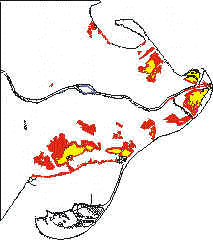 wpe3C.jpg (9543 bytes)