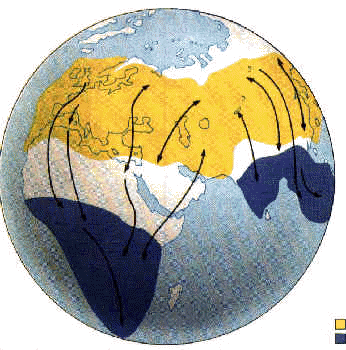 wpe24.jpg (21208 bytes)