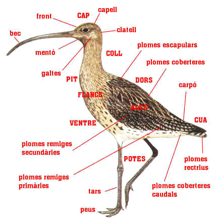 wpe3E.jpg (26293 bytes)