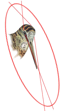 wpe42.jpg (13075 bytes)