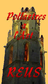 Pollastres a l'ast Reus