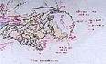 a020.jpg