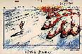 a024.jpg