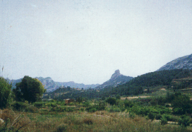 Vista Panor�mica.   L'Agulla.
