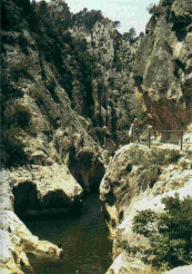 fontcalda.GIF (41878 bytes)