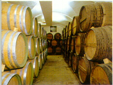 Bodega