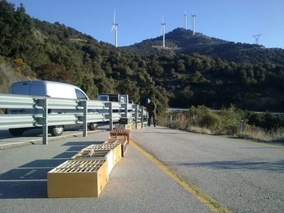 Un tren en una carretera

Descripci�n generada autom�ticamente