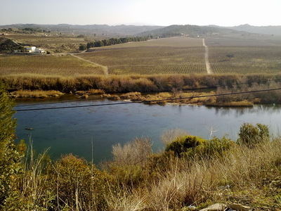 Un lago en medio de campo

Descripci�n generada autom�ticamente