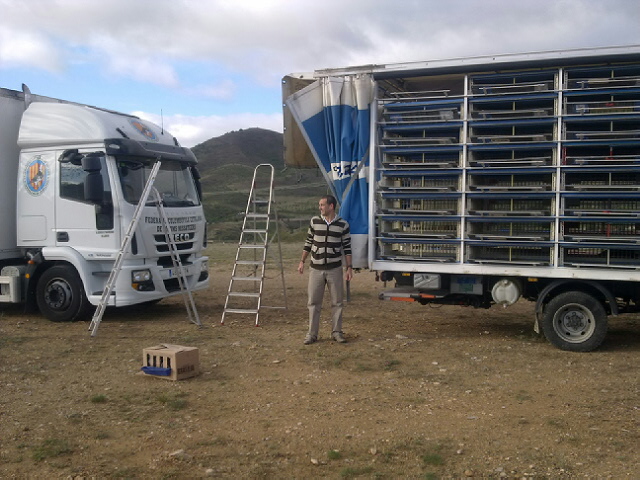 Imagen que contiene exterior, camioneta, pasto, cami�n

Descripci�n generada autom�ticamente