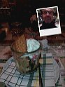 IMG-20170126-WA0001