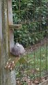 IMG-20170127-WA0017