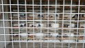 IMG-20170127-WA0024