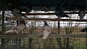 IMG-20170127-WA0025