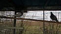 IMG-20170127-WA0026